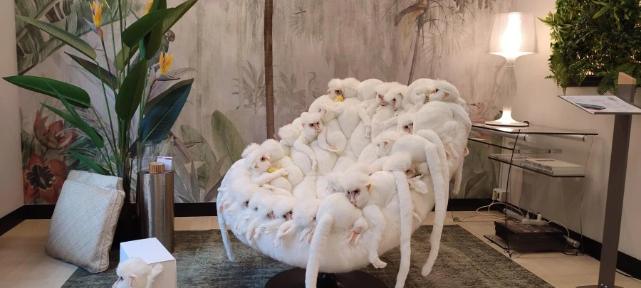 Poltrona AP Collection WHITE MONKEY -27%